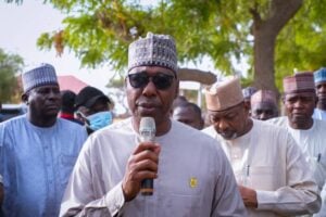 Babagana Zulum, Borno state governor