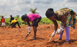 Female farmers at work
