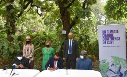Kano DisCo signs MoU with Konexa to deploy renewable energy solutions