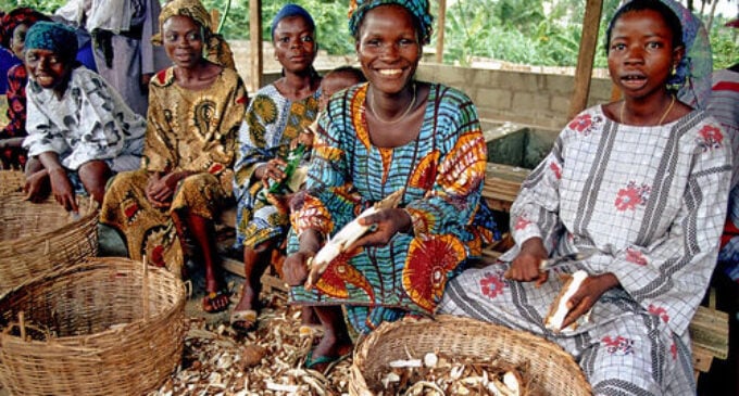 AfDB to provide $150m for women in agricultural sector