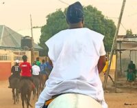 Insecurity: Niger bans horse riding during festivals