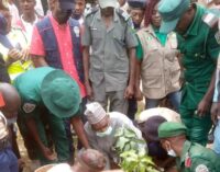 Kaduna to plant 1.2 million trees to tackle climate change