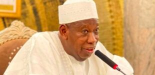 Ganduje: Tinubu taking bold decisions previous administrations could not