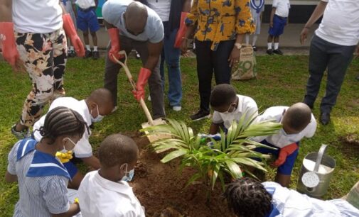 PHOTOS: US consul general joins Lagos pupils in planting tree to mark World Environment Day