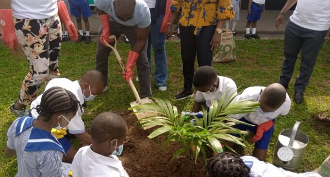 PHOTOS: US consul general joins Lagos pupils in planting tree to mark World Environment Day