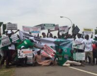 Buhari supporters mob June 12 protester in Abuja