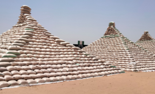 CBN flags off distribution of 9mt paddy rice to millers