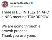 BUSTED: Despite claiming to quit politics in 2019, Onochie promoted APC in 2020