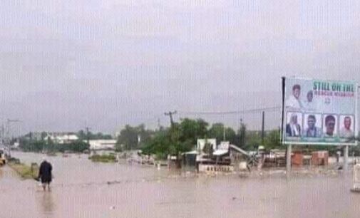 NIHSA: Flood in Taraba not caused by opening of Cameroon dam