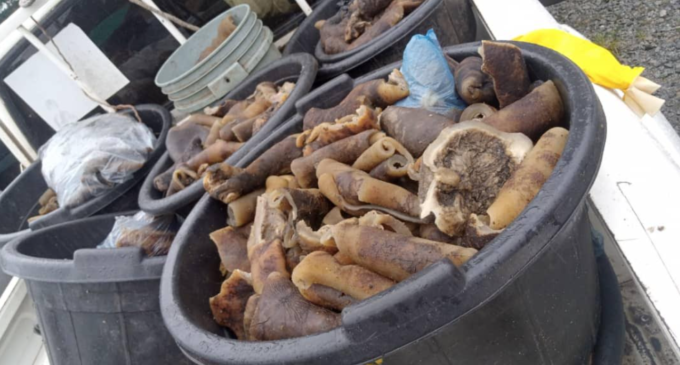 EXTRA: Four arrested in Edo for selling donkey meat (photos)