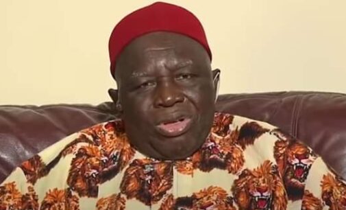 Igbo prepared for presidency even before Buhari became president, says Ohanaeze