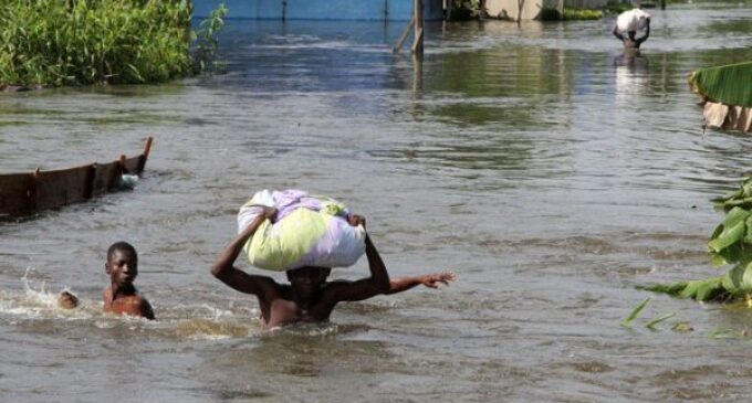 Flood: Over 2,000 people displaced in Adamawa in one week, says SEMA