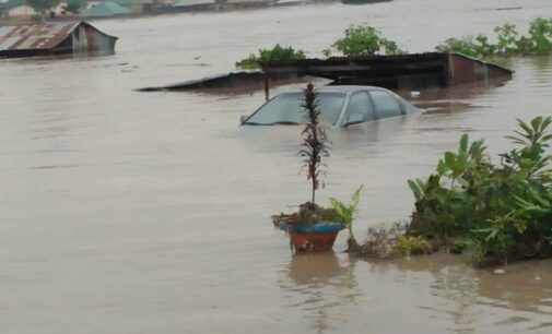 ‘It’s disturbing’ — Buhari mourns losses to flood in Nigeria, Niger Republic