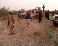 Two aid workers rescued as troops raid Boko Haram hideouts in Borno