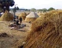 IDP Chronicles: How bandits terrorise Niger communities despite peace deal
