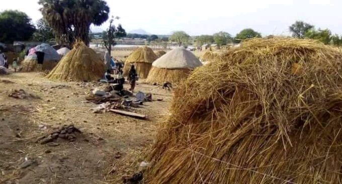 IDP Chronicles: How bandits terrorise Niger communities despite peace deal