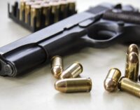 Lawyer sues Buhari over executive order prohibiting gun licensing