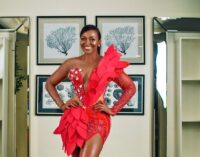 Kate Henshaw elected actors guild national PRO