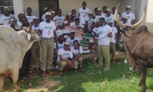 Sallah: Buhari donates cows, 20 bags of rice to NYSC members in Daura