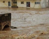 Climate Watch: Flood worsens cholera outbreaks in Nigeria 
