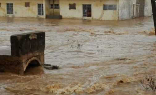 Five dead, farmlands destroyed as flood hits Bauchi communities