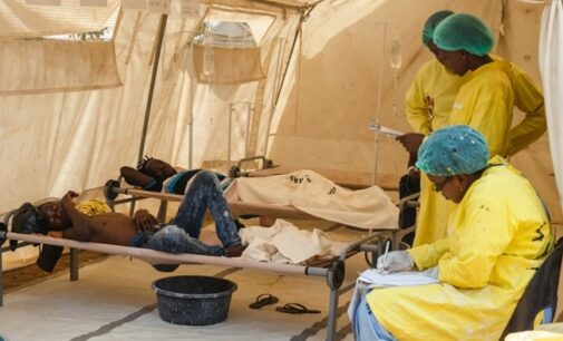 Cholera: Adamawa confirms 23 deaths, 500 cases