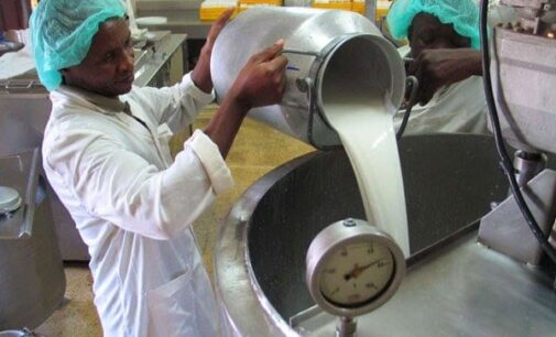 Olam Group inaugurates two milk collection centres in Kano