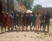 Army: 18 more insurgents have surrendered in Borno — over 100 in two weeks