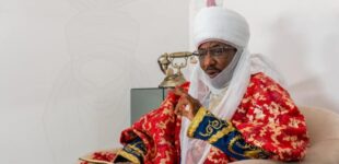 Sanusi: Tinubu resisted pressure to interfere in my reinstatement as Emir