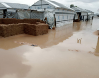 PHOTOS: Over 70 households affected as flood ravages IDP camp in Borno