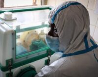 ALERT: Nigeria at high risk of importing Ebola, NCDC warns