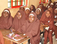 Adamawa to launch house-to-house advocacy to encourage school enrolment