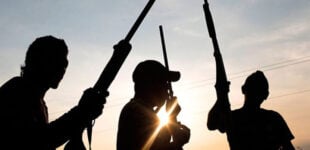 ‘Six killed, eight injured’ as bandits attack Kaduna community