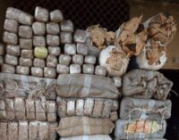 NDLEA: We’ve seized 24,311kg of heroin, codeine in Lagos