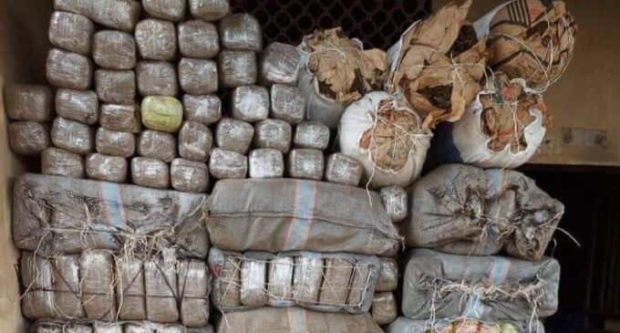NDLEA: N6bn worth of hard drugs seized at Apapa port within six months