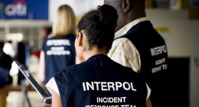 Interpol, EFCC arrest three Nigerians for internet fraud in ‘Operation Killer Bee’