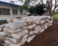 10 arrested as NDLEA seizes 3,300kg of illicit drugs in Edo, Lagos, Kaduna, FCT