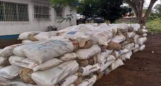 10 arrested as NDLEA seizes 3,300kg of illicit drugs in Edo, Lagos, Kaduna, FCT