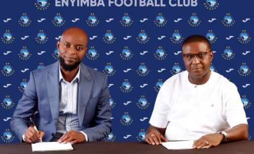 Enyimba appoint Finidi George as head coach