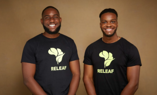 Releaf secures $4.2m to develop tech solutions for Nigeria’s oil palm industry