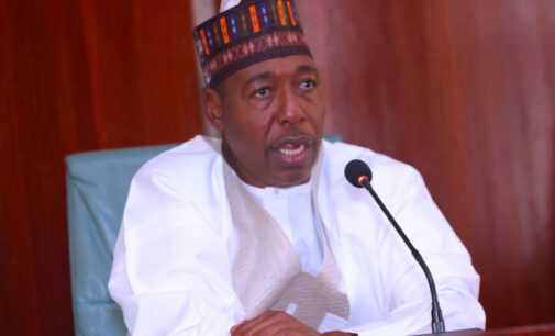 ‘It’ll boost food security’ — Zulum lauds Tinubu on South Chad irrigation project revival