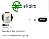 ‘Beware of fake eNaira social media accounts’ — CBN alerts Nigerians