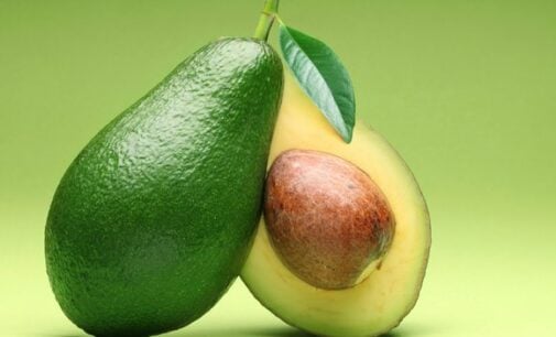 Avocado, carrot… five anti-ageing foods to include in your diet