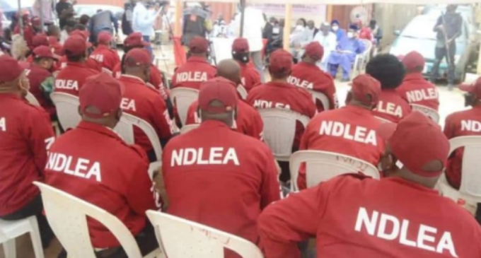 ‘It was a typo’ — NDLEA clarifies N4.5bn ‘police barracks’ in its 2022 budget