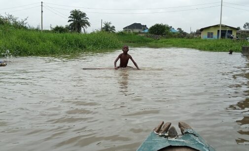 Climate Watch: Flood destroys 100 houses, farmlands in Bauchi
