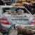 Five dead, cars destroyed in Lagos gas explosion