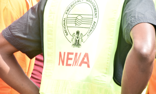NEMA: We will distribute yam seedlings to 1,754 farmers in Lagos
