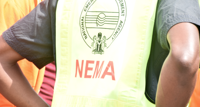 NEMA: We will distribute yam seedlings to 1,754 farmers in Lagos