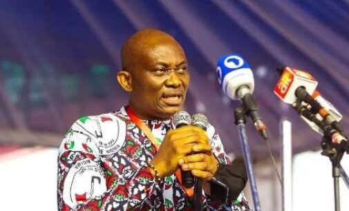 Ndidi Elumelu: Unlike APC, PDP does not promise what it can’t deliver