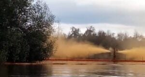 oil pollution